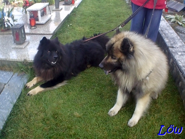 2.11.2025 - Rasten immer und &uuml;berall